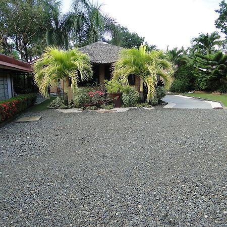 Susan'S Place Bed And Breakfast Puerto Princesa Exterior foto